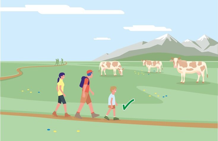 Safe mountain pastures - Rule 5 | © Federal Ministry for Sustainability and Tourism
