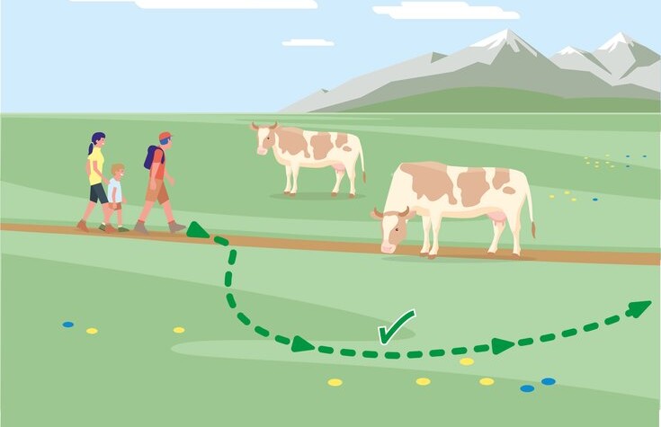 Safe mountain pastures - Rule 6 | © Federal Ministry for Sustainability and Tourism