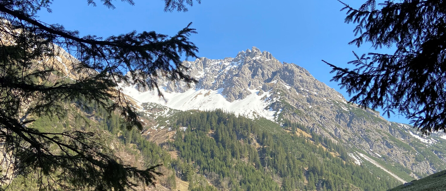 Rundwanderung Gemsteltal | © Kleinwalsertal Tourismus eGen