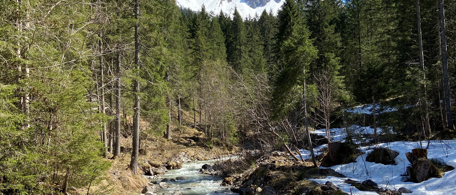 Rundwanderung Gemsteltal | © Kleinwalsertal Tourismus eGen