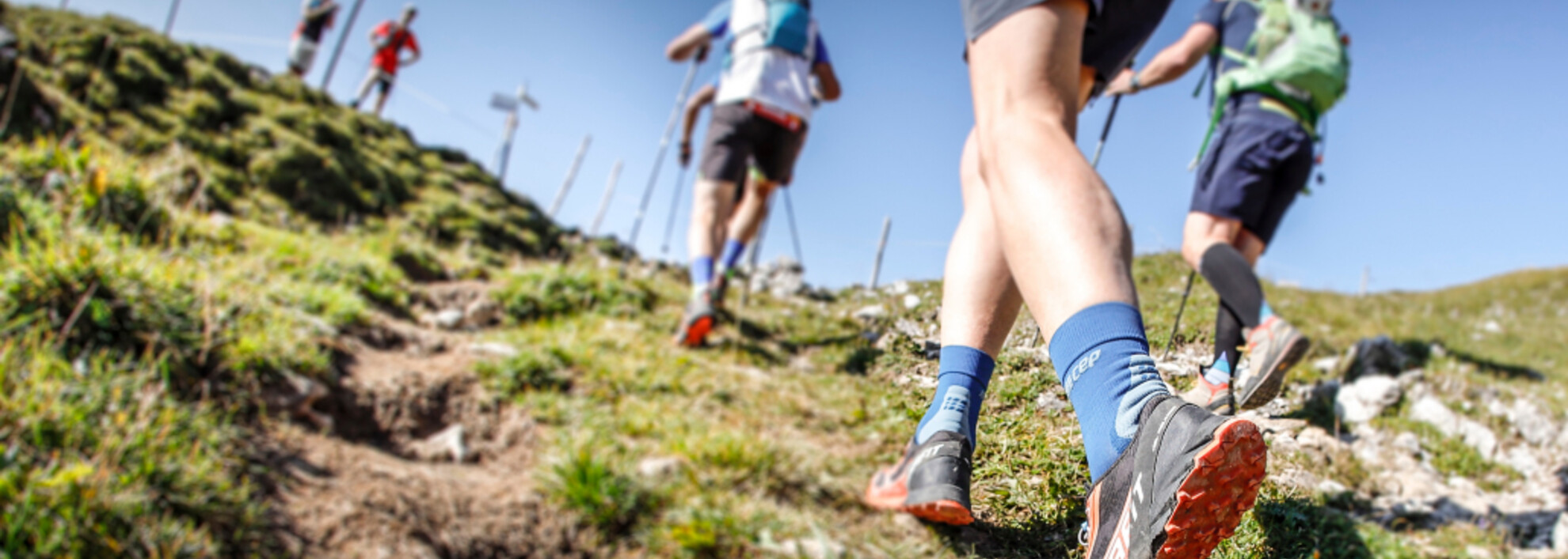 Dynafit Transalpine Run powered by Volkswagen R 2021 | © PLAN B event company GmbH | Fotograf: Andi Frank