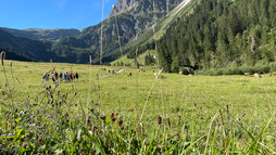 Hiking in Gemsteltal | © Kleinwalsertal Tourismus