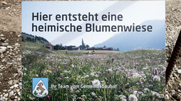 Blooming garden in Hirschegg 29.06.2018 | © Kleinwalsertal Tourismus eGen