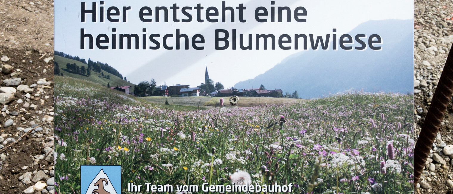 Blooming garden in Hirschegg 29.06.2018 | © Kleinwalsertal Tourismus eGen