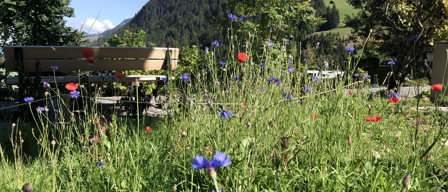 Blooming Garden in September 2018 | © Kleinwalsertal Tourismus eGen | Photographer: Louisa Hieke