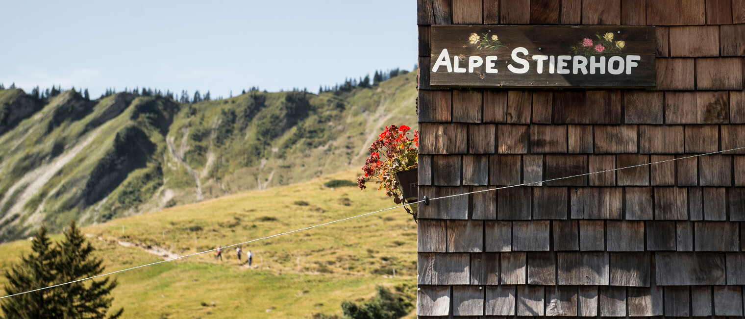Alpe Stierhof | © Kleinwalsertal Tourismus eGen | Fotograf: Andre Tappe