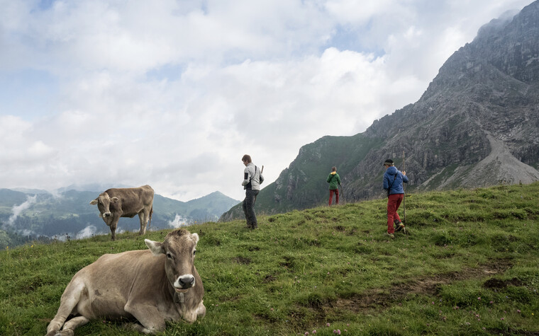Young shepherds on the Bärgunt | © Kleinwalsertal Tourismus eGen | Photographer: Andre Tappe