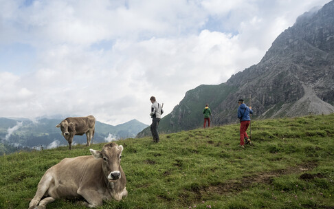 Young shepherds on the Bärgunt | © Kleinwalsertal Tourismus eGen | Photographer: Andre Tappe