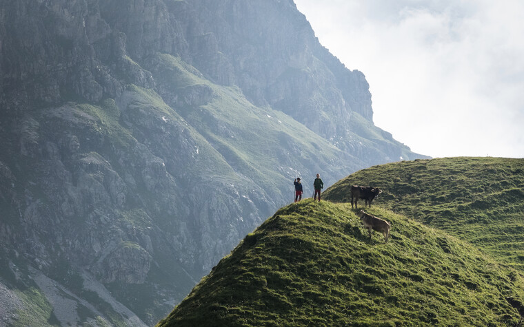Young shepherd with cattle | © Kleinwalsertal Tourismus eGen | Photographer: Andre Tappe