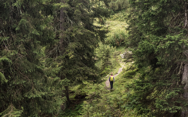 Wandern bei mystischer Stimmung | © Kleinwalsetrtaler Tourismus | Fotograf: Andre Tappe