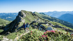 Mountain tour on the Hammerspitze | ©  Kleinwalsertal Tourismus eGen | Photographer: Dominik Berchtold
