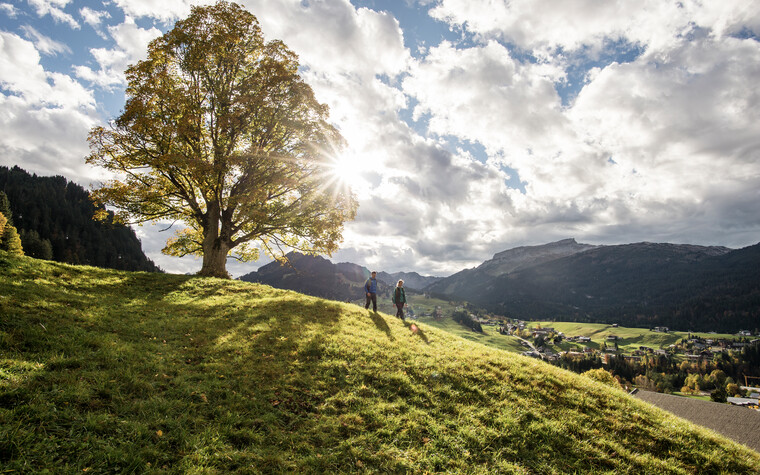 Herbstwandern oberhalb von Riezlern  | ©  Kleinwalsertal Tourismus eGen | Fotograf: Dominik Berchtold