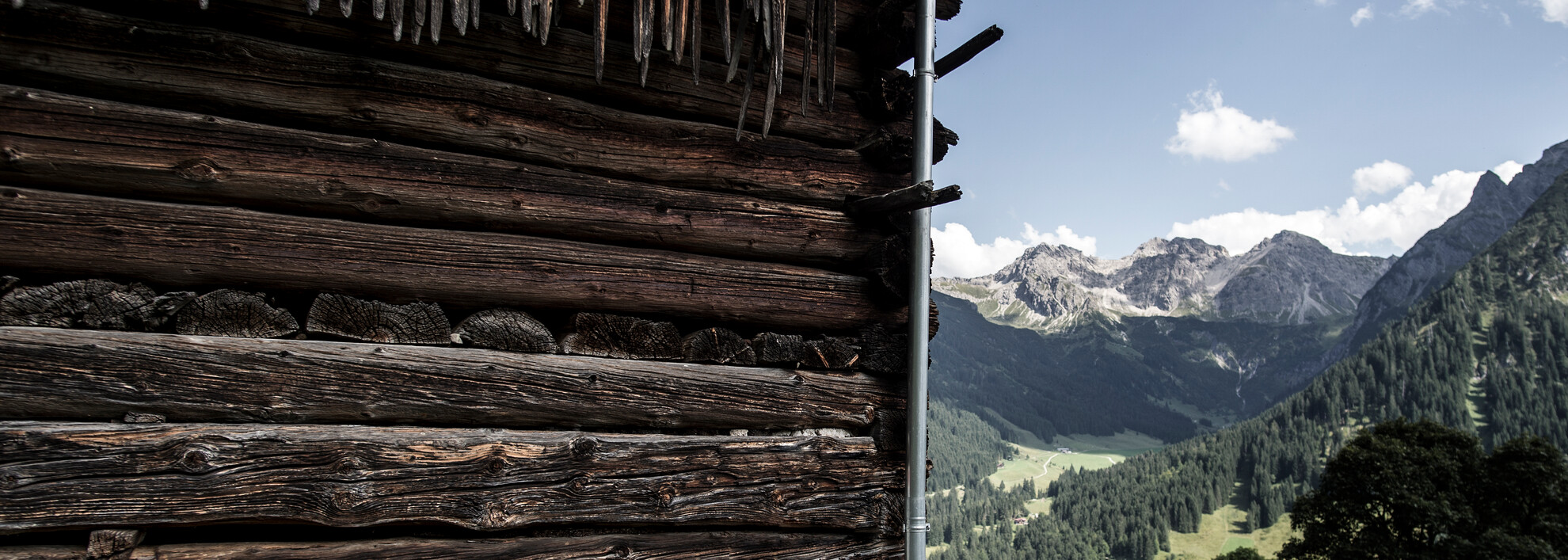 Blick auf die Schafalpköpfe vom Zaferna | © Kleinwalsertal Tourismus eGen | Fotograf: Dominik Berchtold