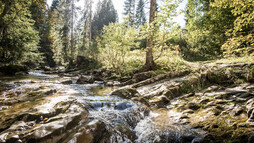 hiking at the Schwarzwasserbach in Kleinwalsertal | ©  Kleinwalsertal Tourism eGen | Photographer: Dominik Berchtold