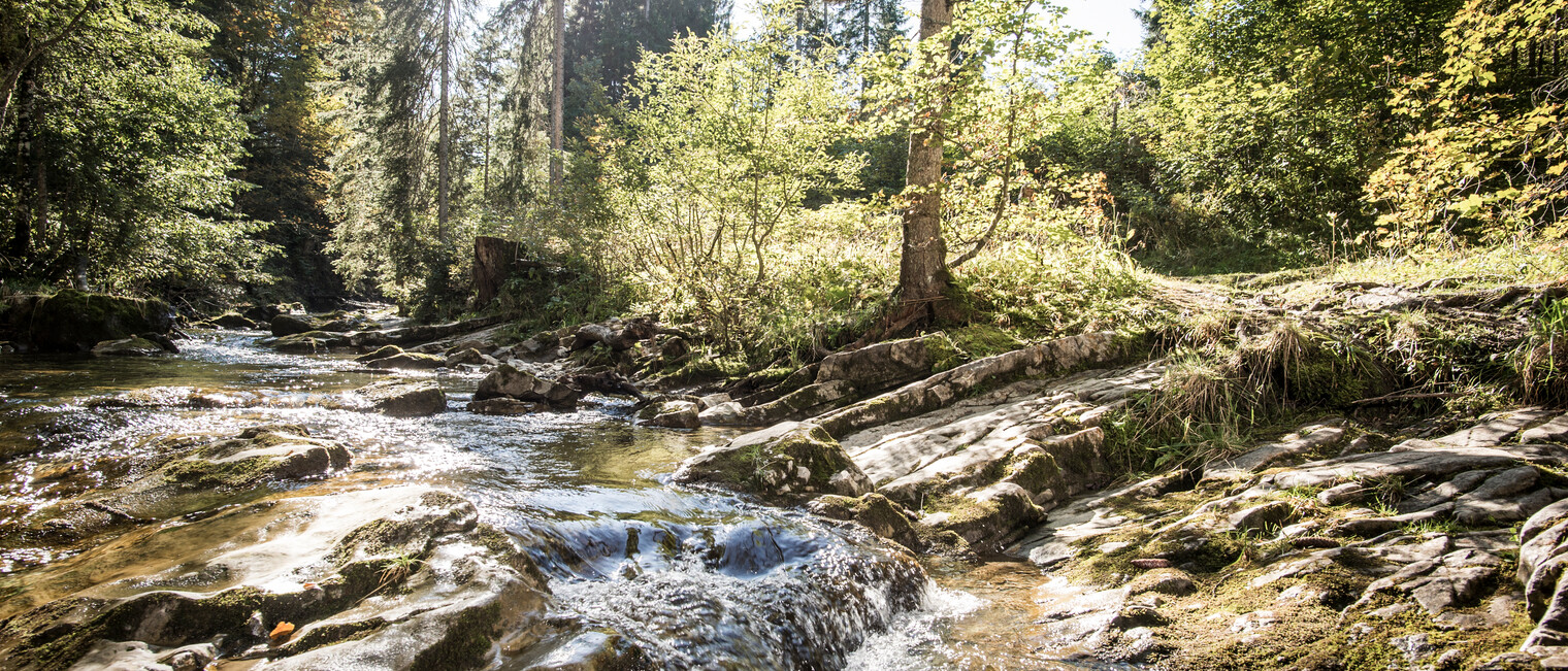 hiking at the Schwarzwasserbach in Kleinwalsertal | ©  Kleinwalsertal Tourism eGen | Photographer: Dominik Berchtold