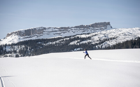 Cross-country ski trail Wäldele Egg | © Kleinwalsertal Tourismus eGen | Photographer: Dominik Berchtold