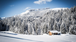 winter landscape with view of the Ifen  | © Kleinwalsertal Tourismus eGen | Photographer: Dominik Berchtold