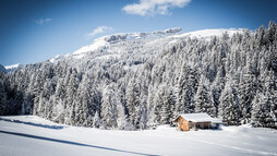 Winterlandschaft mit Blick auf den Ifen vom Egg | © Kleinwalsertal Tourismus eGen | Fotograf: Dominik Berchtold