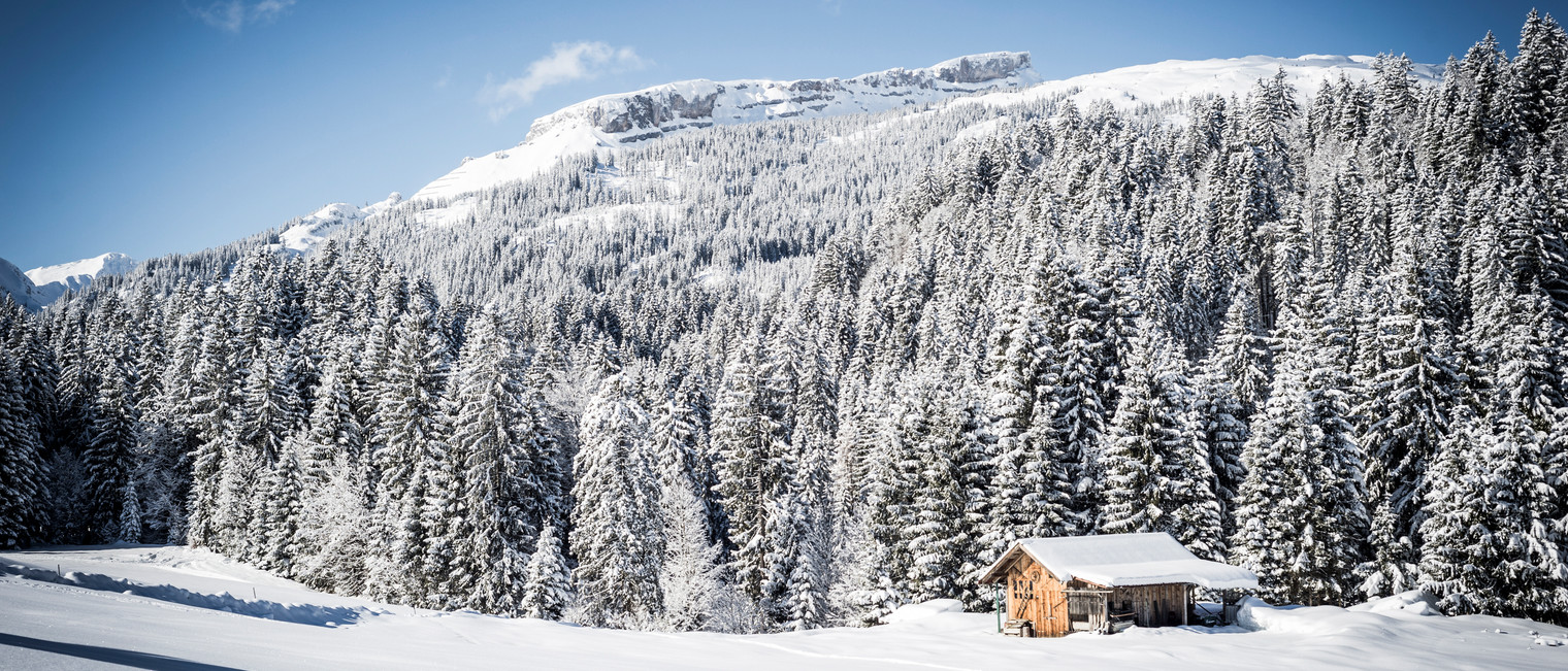 Winterlandschaft mit Blick auf den Ifen vom Egg | © Kleinwalsertal Tourismus eGen | Fotograf: Dominik Berchtold
