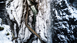 Wanderung in der Breitachklamm von oben | © Kleinwalsertal Tourismus eGen | Fotograf: Dominik Berchtold