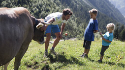 Alphirte mit Kindern im Wildental | © Kleinwalsertal Tourismus eGen | Fotograf: Oliver Farys