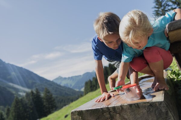Kinder entdecken die Natur | © Kleinwalsertal Tourismus eGen | Fotograf: Oliver Farys
