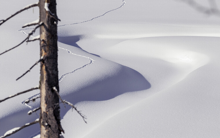 Winterlandschaft | © Kleinwalsertal Tourismus eGen | Fotograf: Oliver Farys