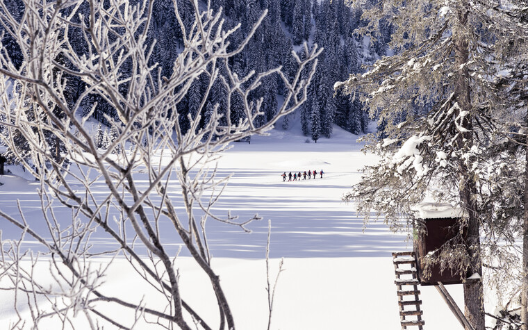 Schneeschuhtour im Schwarzwassertal | © Kleinwalsertal Tourismus eGen | Fotograf: Oliver Farys