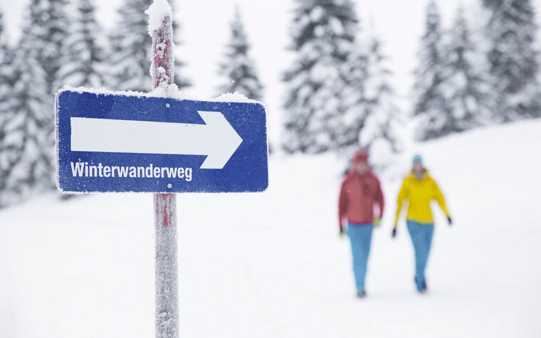 Winter hiking in Kleinwalsertal | © Kleinwalsertal Tourismus eGen | Photographer: Oliver Farys