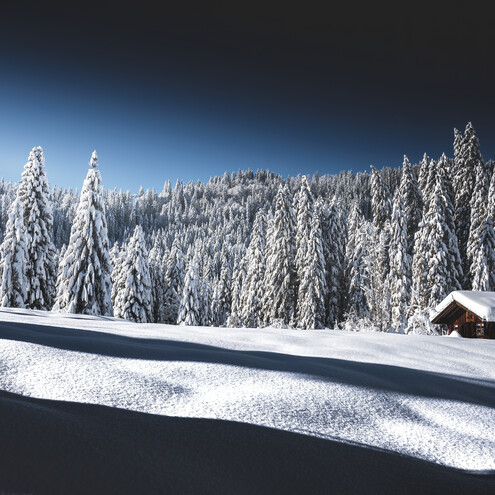 Winter Landschaft | © Robert Niederwolfsgruber