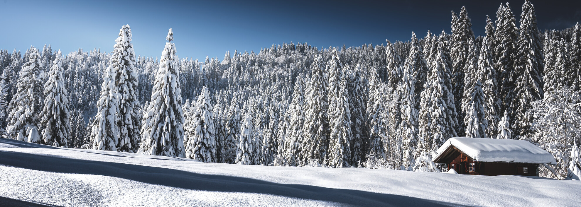 Winter Landschaft | © Robert Niederwolfsgruber