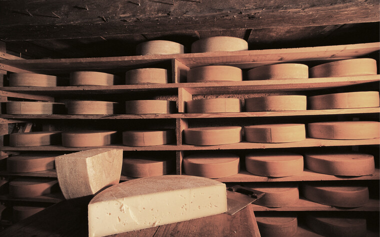 In the cheese cellar | © Kleinwalsertal Tourismus eGen |Photographer: Hans Wiesenhofer