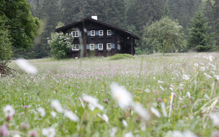 Flower field with old Walser house | © Kleinwalsertal Tourismus eGen | Photographer: Frank Drechsel