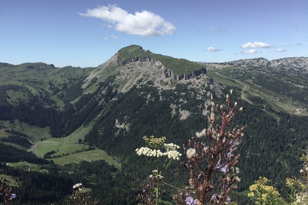 Ifen mountain panorama summer | © Kleinwalsertal Tourismus eGen 
