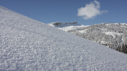 Neuschnee am Ifen im Kleinwalsertal | © Kleinwalsertal Tourismus eGen | Fotograf: Frank Drechsel