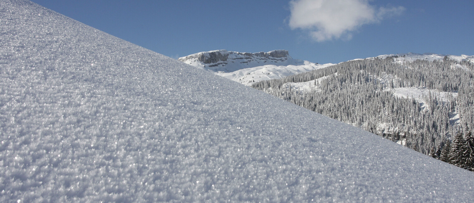 Neuschnee am Ifen im Kleinwalsertal | © Kleinwalsertal Tourismus eGen | Fotograf: Frank Drechsel