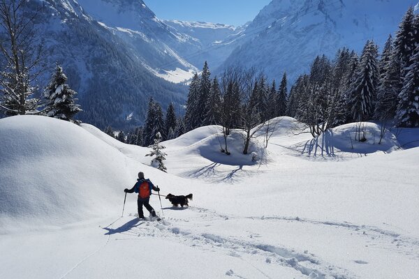 Schneeschuhtour mit Hund | © S&H Hundewelt Wandertouren GmbH