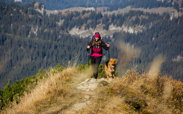 Hiking with dog in autumn | © Kleinwalsertal Tourismus eGen | Photographer: Lukas Rinner