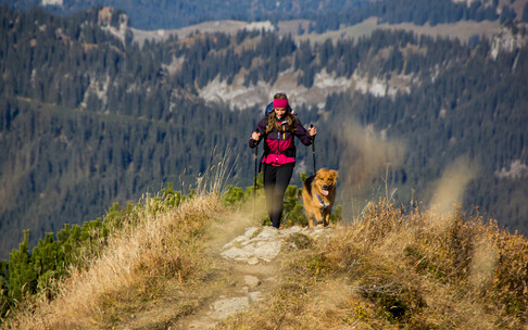 Wandertouren mit Hund im Herbst | © Kleinwalsertal Tourismus eGen | Fotograf: Lukas Rinner