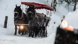 Sleigh ride in Advent | © Kleinwalsertal Tourismus eGen | Photographer: Dominik Berchtold