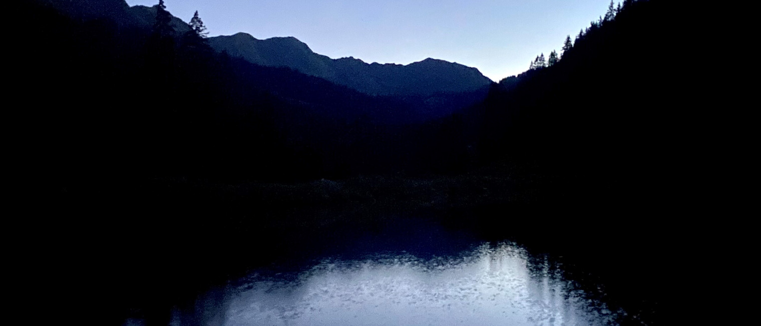 Fledermausnacht - Natur Vielfalt Tage | © Kleinwalsertal Tourismus