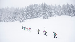 Ascent at the VAUDE ski touring camp | © Mountain World Oberstaufen | Photographer: Moritz Sonntag