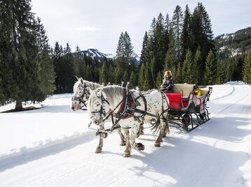 Pferdeschlittenfahrten Hammerer Hirschegg Winter | © Kleinwalsertal Tourismus | Dominik Berchtold