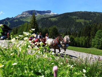 Pferdekutschenfahrten Hammerer Hirschegg Sommer | © Kleinwalsertal Tourismus