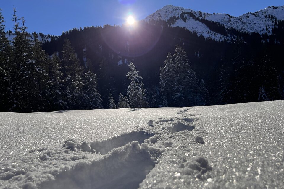 Schneeschuhtour Schwarzwasserhütte | © Melköde@Ken Gibson