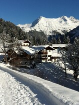 Gasthof Cafe Alpenwald Winter