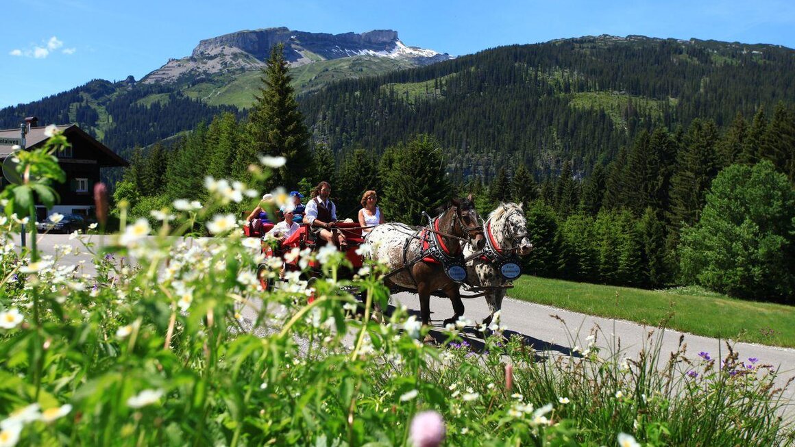 Hammerer´s Kutschen- und Pferdeschlittenfahrten | © Kleinwalsertal Tourismus