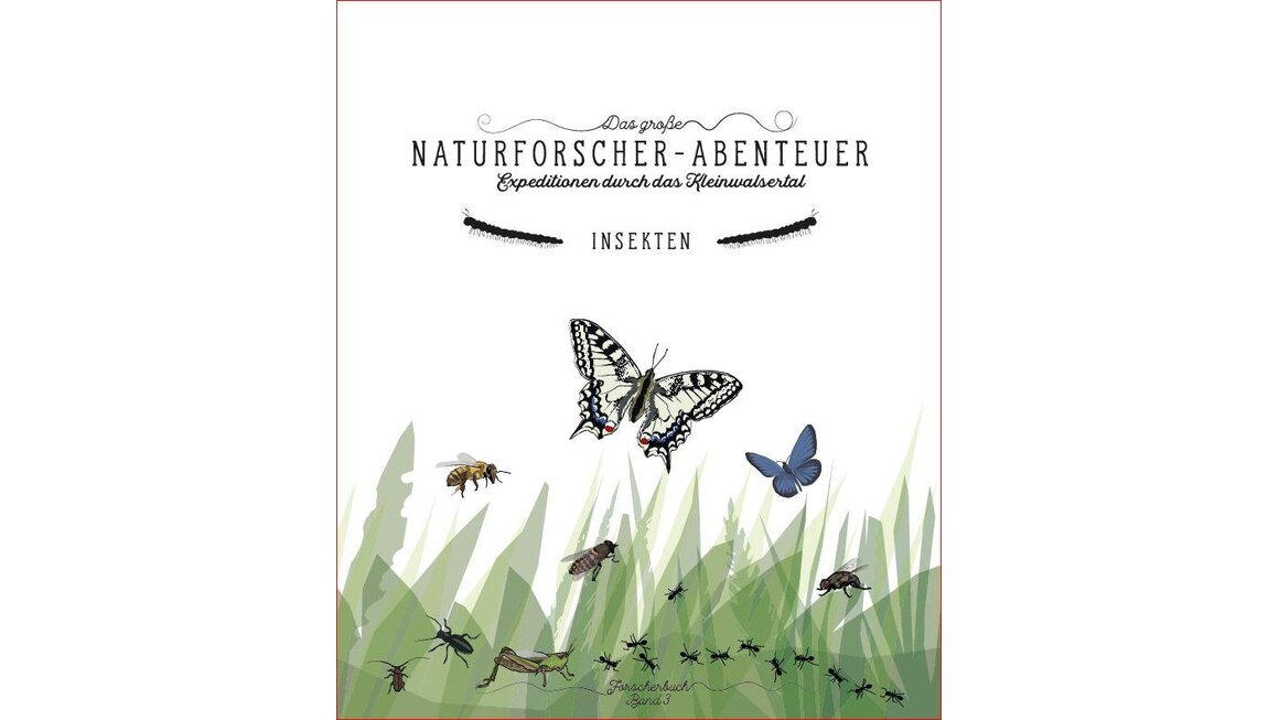 Naturforscher-Abenteuer Insekten | © Kleinwalsertal Tourismus eGen