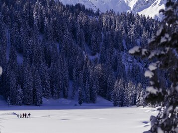 Schneeschuhwandern Kleinwalsertal Winter | © Kleinwalsertal Tourismus eGen | Oliver Farys