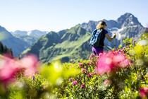 Alpenrose Wandern